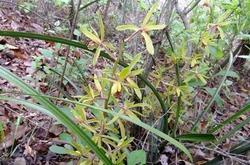 微信图片_20220325144510.jpg 微信图片_20220325144510.jpg